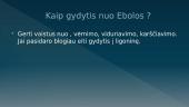 Ebolos virusas (skaidrės) 12 puslapis