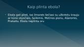 Ebolos virusas (skaidrės) 13 puslapis