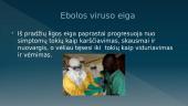 Ebolos virusas (skaidrės) 3 puslapis