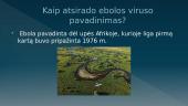 Ebolos virusas (skaidrės) 4 puslapis