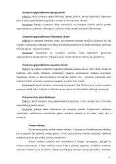 Lauko reklamos — informavimo produkcijos kūrimas 11 puslapis