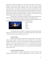 Lauko reklamos — informavimo produkcijos kūrimas 12 puslapis