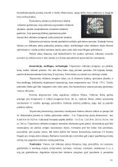 Lauko reklamos — informavimo produkcijos kūrimas 13 puslapis