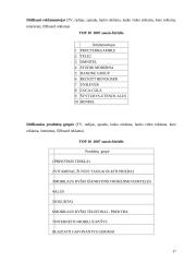 Lauko reklamos — informavimo produkcijos kūrimas 17 puslapis