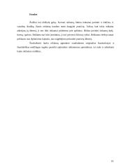 Lauko reklamos — informavimo produkcijos kūrimas 19 puslapis