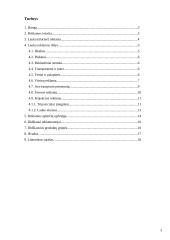 Lauko reklamos — informavimo produkcijos kūrimas 3 puslapis