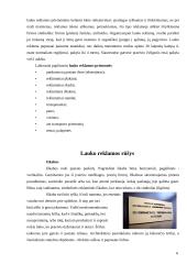Lauko reklamos — informavimo produkcijos kūrimas 6 puslapis