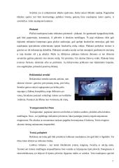 Lauko reklamos — informavimo produkcijos kūrimas 7 puslapis
