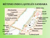 Augalų anatomija ir morfologija (skaidrės) 11 puslapis