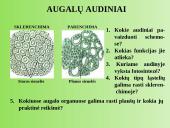 Augalų anatomija ir morfologija (skaidrės) 13 puslapis