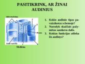 Augalų anatomija ir morfologija (skaidrės) 14 puslapis