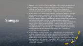Skaidrės - oro tarša 14 puslapis