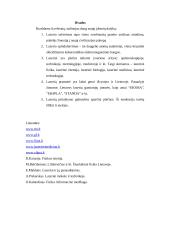 Lazeriai Lietuvoje 6 puslapis