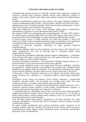 LDDP vieta Lietuvos politinėje sistemoje 13 puslapis