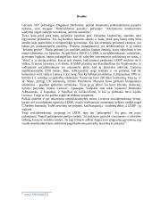 LDDP vieta Lietuvos politinėje sistemoje 17 puslapis