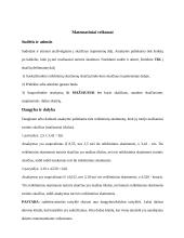 Reikšminių skaitmenų nustatymo ir taikymo skaičiavimuose taisyklės 3 puslapis