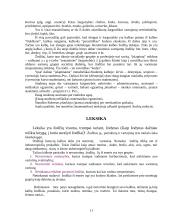 Leksikos klaidos. Žargonas kalboje. Mokytojų kalboje vartojami žargonai 11 puslapis