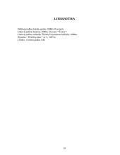 Leksikos klaidos. Žargonas kalboje. Mokytojų kalboje vartojami žargonai 19 puslapis