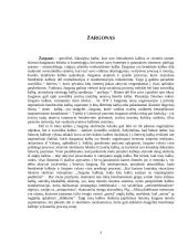 Leksikos klaidos. Žargonas kalboje. Mokytojų kalboje vartojami žargonai 5 puslapis