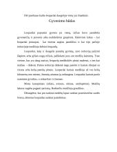 Leopardų gyvenimas 2 puslapis