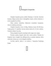 Leopardų gyvenimas 4 puslapis