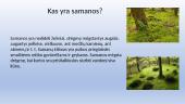 Pristatymas apie samanas 2 puslapis