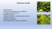 Pristatymas apie samanas 9 puslapis