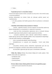 Lėšų rinkimas nevyriausybinėse organizacijose 9 puslapis