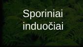 Sporiniai induočiai (pristatymai)