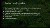 Sporiniai induočiai (pristatymai) 8 puslapis