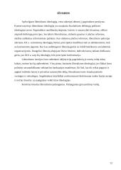 Liberalizmo idėjos 12 puslapis