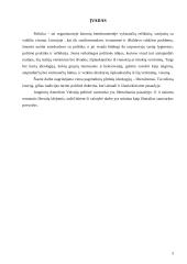 Liberalizmo idėjos 3 puslapis