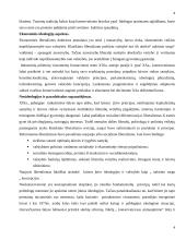 Liberalizmas ir konservatizmas 4 puslapis