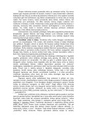 Lyčių socializacijos skirtumai 3 puslapis