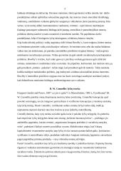 Lyčių vaidmenys. Feminizmas 3 puslapis