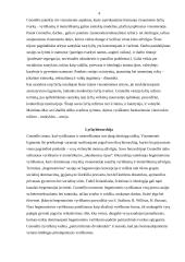 Lyčių vaidmenys. Feminizmas 4 puslapis