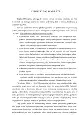Lyderiavimas 2 puslapis