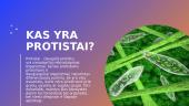 Skaidrės - protistai 2 puslapis
