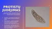 Skaidrės - protistai 5 puslapis