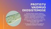 Skaidrės - protistai 7 puslapis