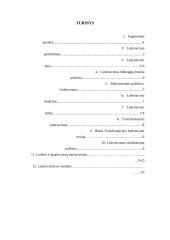 Lyderiavimas ir geras lyderis