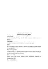 Lyderiavimas ir geras lyderis 3 puslapis