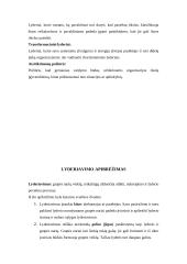 Lyderiavimas ir geras lyderis 4 puslapis