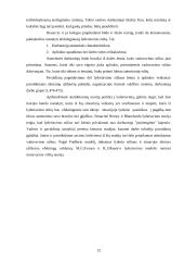 Lyderiavimo samprata, funkcijos ir stiliai 12 puslapis