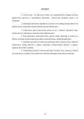 Lyderiavimo samprata, funkcijos ir stiliai 13 puslapis