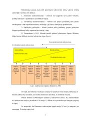 Lyderiavimo samprata, funkcijos ir stiliai 7 puslapis