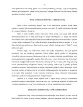 Lyderiavimas. Lyderystės vaidmuo verslo organizacijoje 15 puslapis