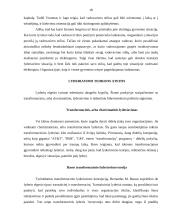 Lyderiavimas. Lyderystės vaidmuo verslo organizacijoje 18 puslapis