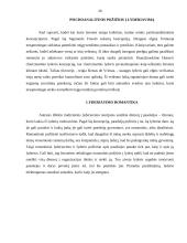 Lyderiavimas. Lyderystės vaidmuo verslo organizacijoje 20 puslapis