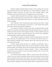 Lyderiavimas. Lyderystės vaidmuo verslo organizacijoje 3 puslapis